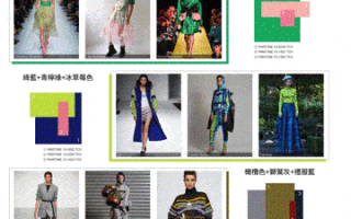 秀场趋势分析怎么写