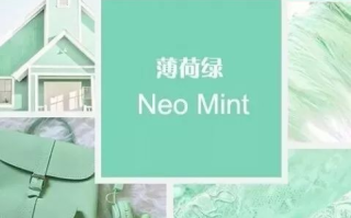 2020年十大流行色