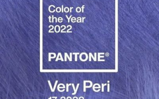 2022年的流行色