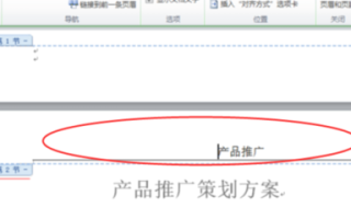 单品推广策划方案