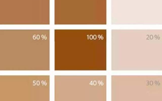 2021的流行色出来了吗