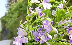 春季什么商品最火