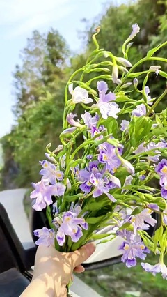 春季什么商品最火-第1张图片-ZBLOG 春季什么商品最火-第1张图片-ZBLOG